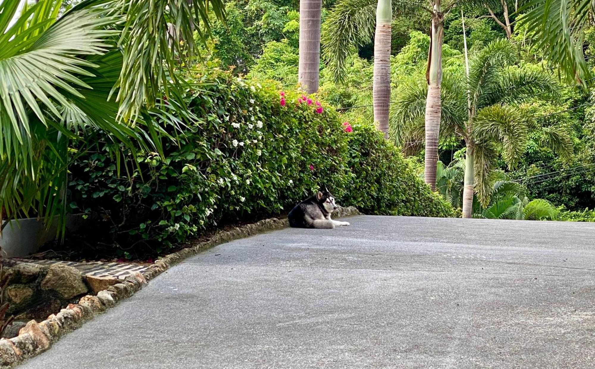 Ko Samui Seaview Pool Villa Seren With Car レームセットビーチ エクステリア 写真